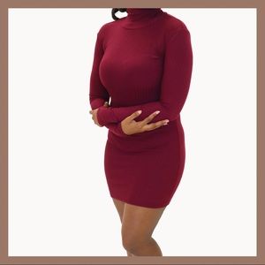 Ribbed Turtle Neck Dress